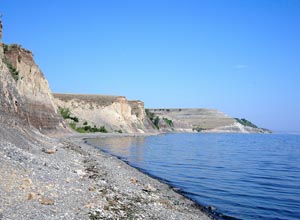 «Щербаковский» в «Горьковке»