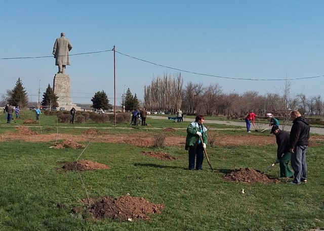 На юге Волгограда прошел общегородской субботник