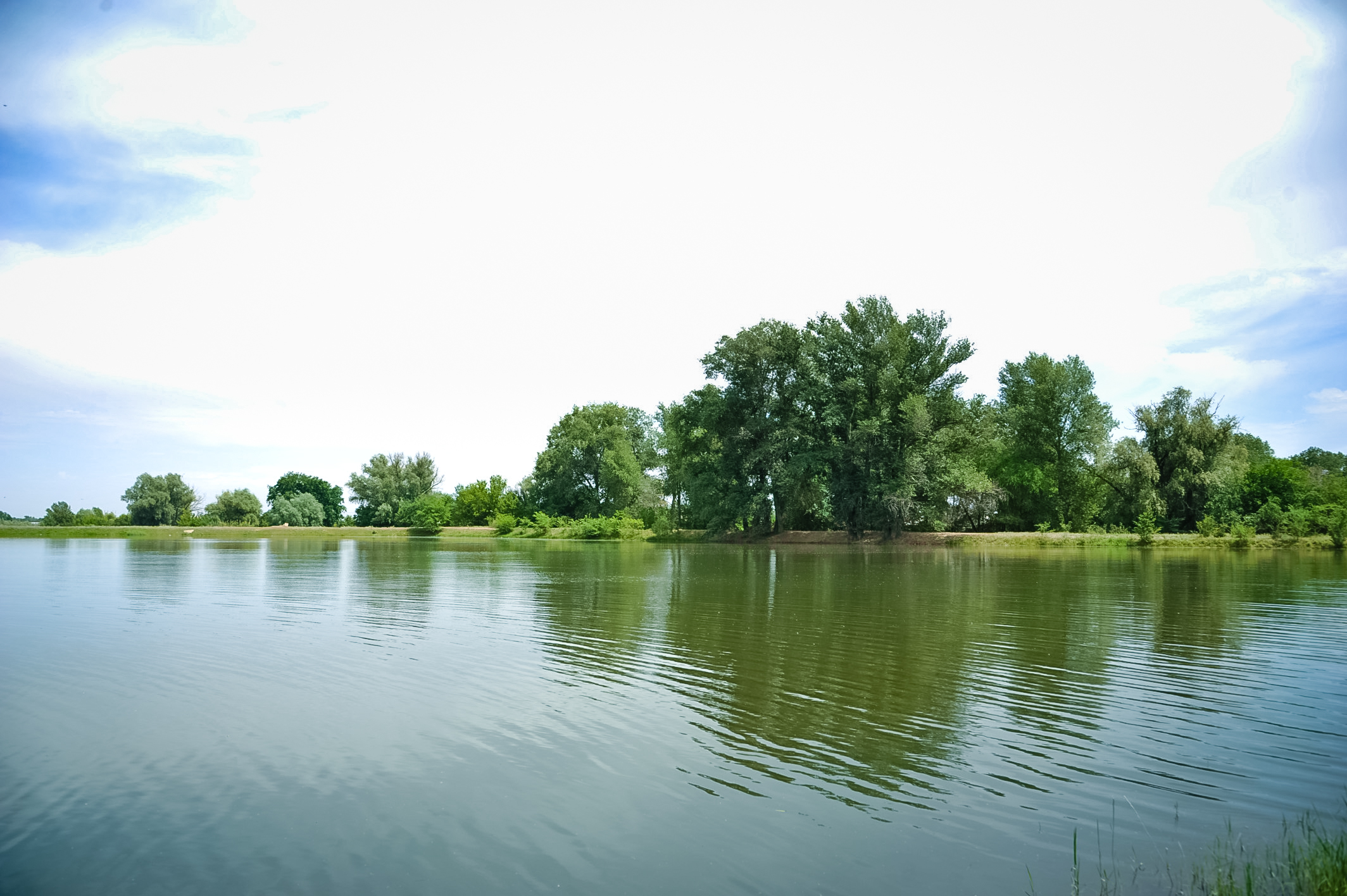 В Волгоград пришла большая вода