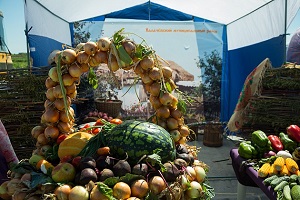 В Волгограде состоится ярмарка «Дары земли волгоградской»