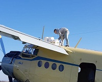 Леса Волгоградской области обрабатывают от вредителей