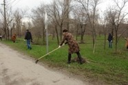 В Волгограде прошел первый день чистоты и благоустройства