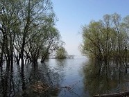  В Волгоград пришла большая вода