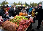 В Волгоградской области отвели место для 105 ярмарок