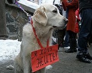 4 октября – Всемирный день защиты животных