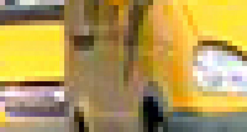 Питер останется без маршруток