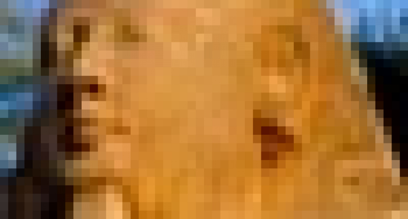 Грипп лидирует в ЖЖ