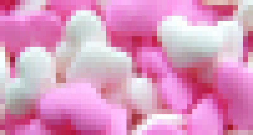 Гламур пройдет. В Госдуму.