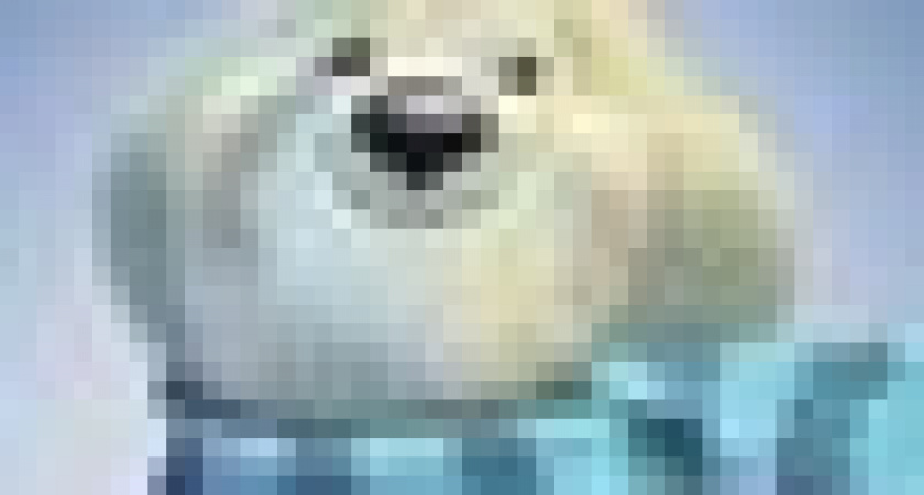 Создателя символа Олимпиады-2014 обвинили в плагиате