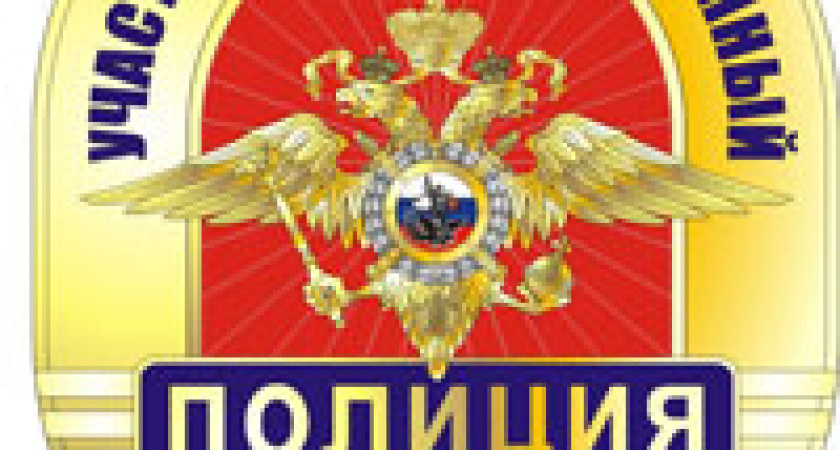Полицейские наденут значки