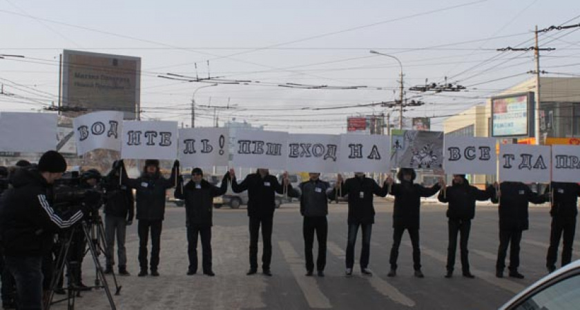 Волгоградцы нарядились зебрами