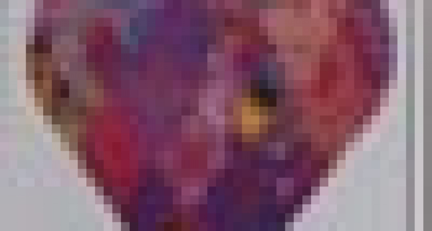 Волгограду отдали «волонтерское сердце»