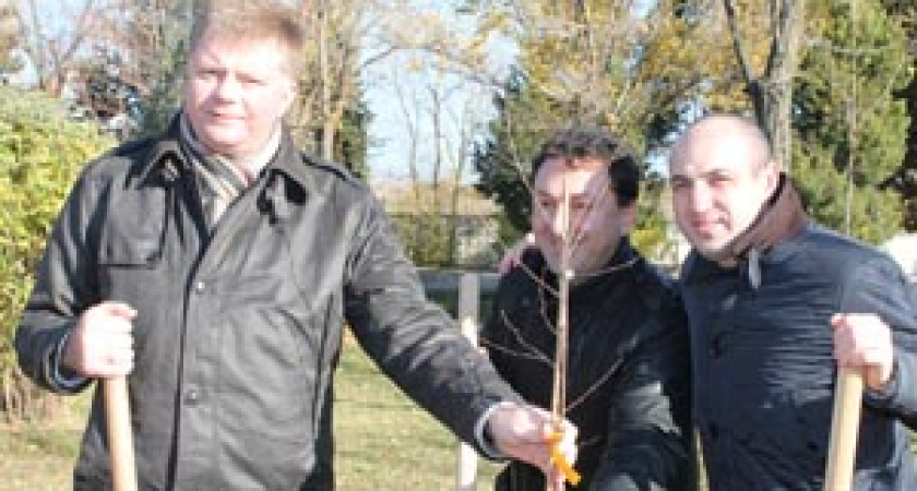 На Мамаевом кургане высадили деревца от «Бурановских бабушек»