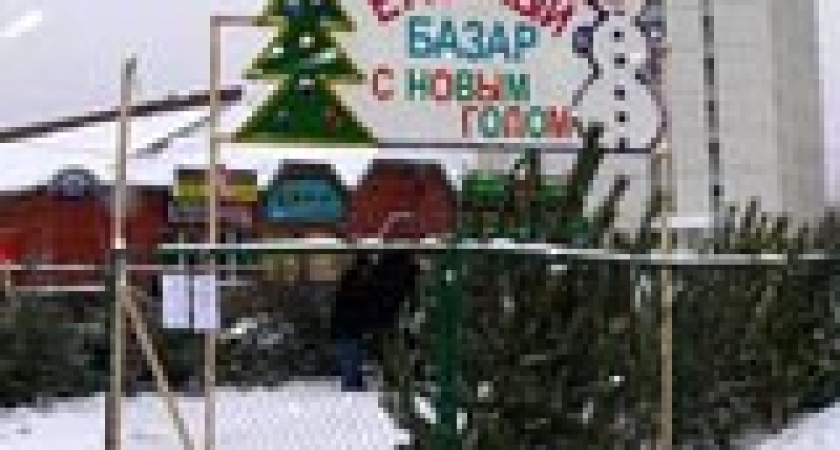 В Волгограде открываются елочные базары