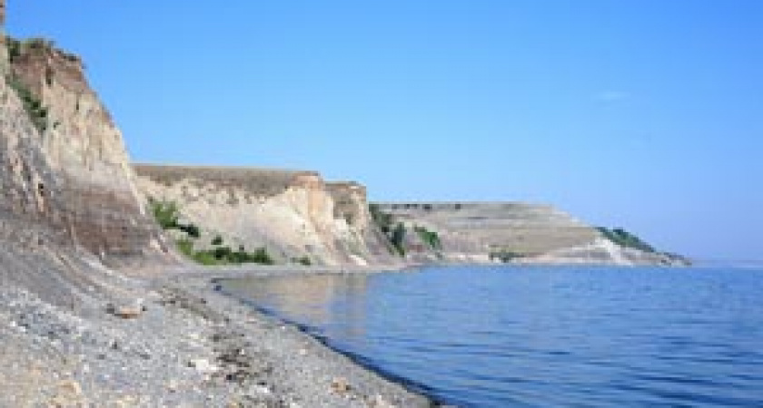 «Щербаковский» в «Горьковке»