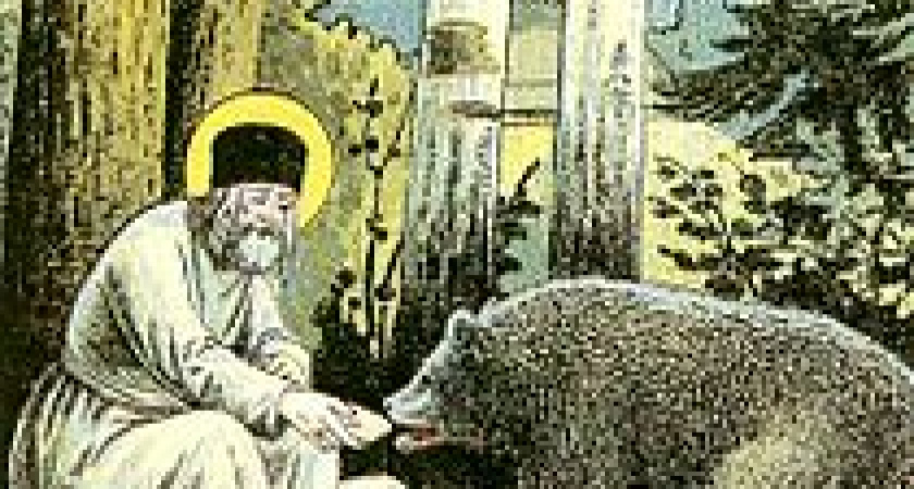 Этот день в истории