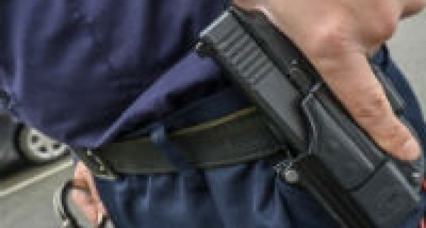 В Волгограде при задержании преступника с ножом полицейские применили оружие