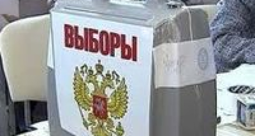 В Волгограде явка избирателей не превысит 15 процентов