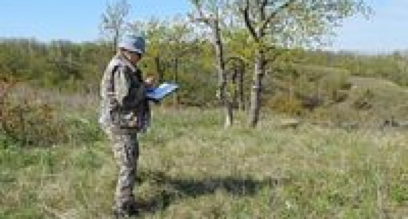 В Волгоградской области обнаружены новые места обитания редких растений