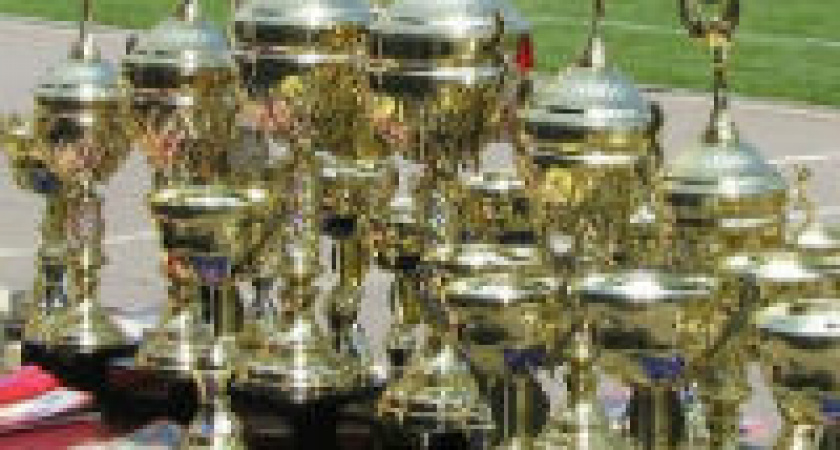 В  Калаче-на-Дону пройдут XXXIII областные сельские спортивные игры