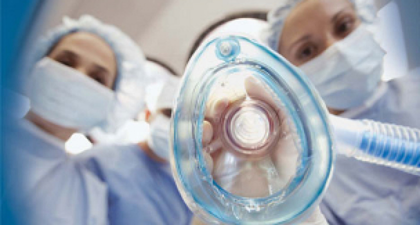 Под Волгоградом девочка съела волчью ягоду