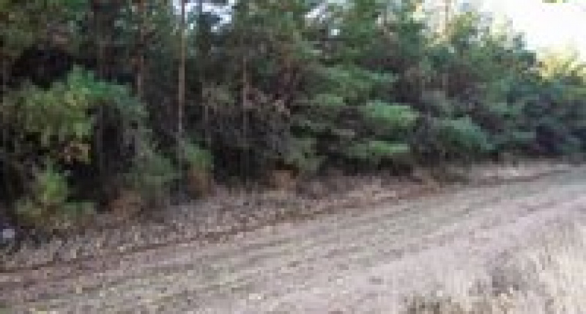 Мумия в лесу Котельниковского района