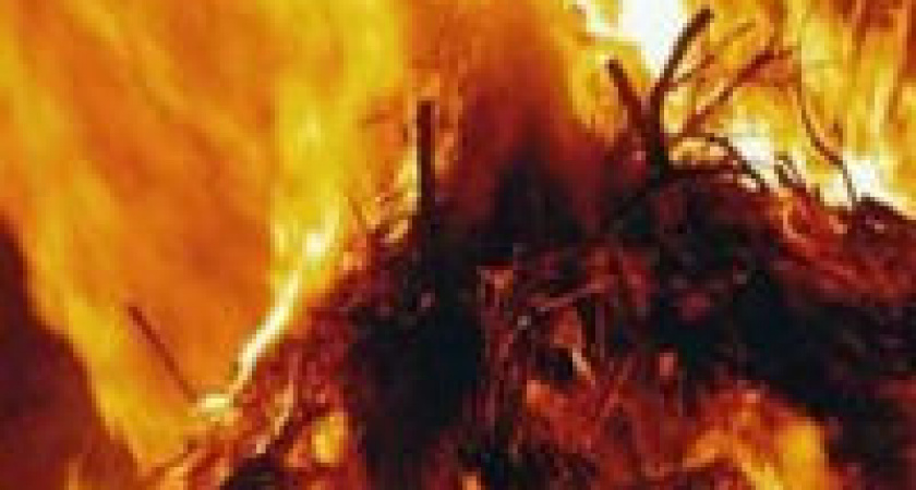 Под Волгоградом хулиганы сожгли 10 тонн сена