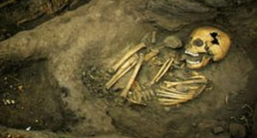 Под Волгоградом обнаружены человеческие останки