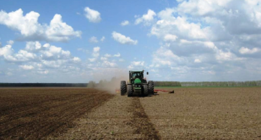 Под Волгоградом проводят ревизию сельского хозяйства