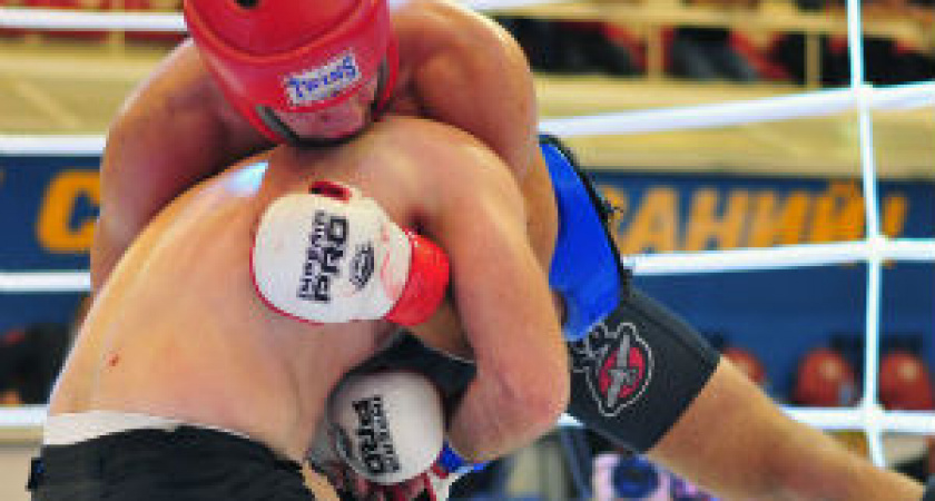 В Волгограде пройдет  Кубок России по смешанным единоборствам