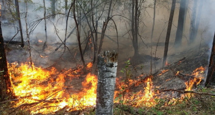 В Волгоградской области снят режим ЧС по пожарам