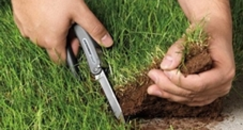 Под Волгоградом депутата заключили по стражу