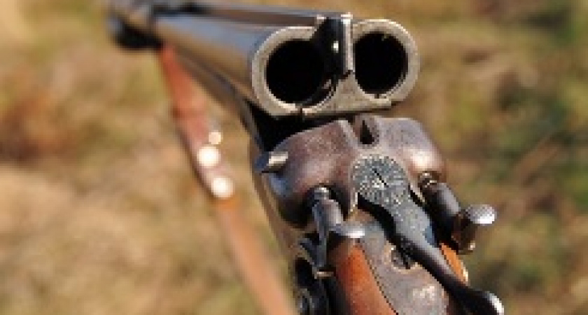 Под Волгоградом фермер чуть не застрелил пастуха