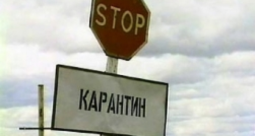 В Волгограде сожгли два саженца