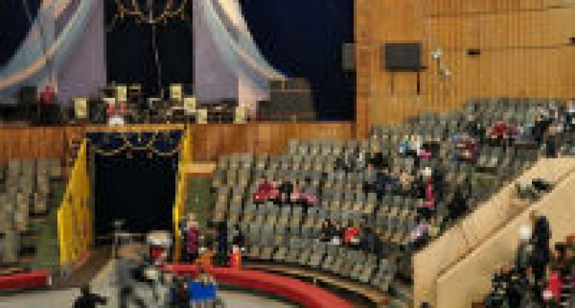 Юные волгограцы смогут пообщаться с артистами цирка