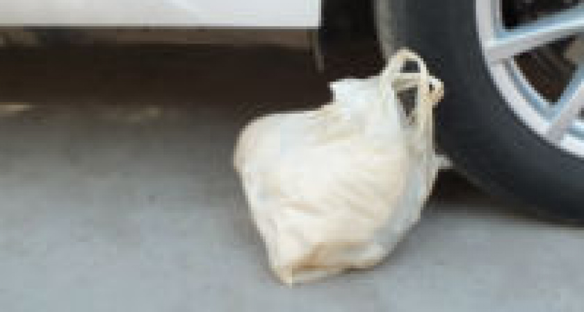 В Волгограде на автовокзале эвакуировали пассажиров