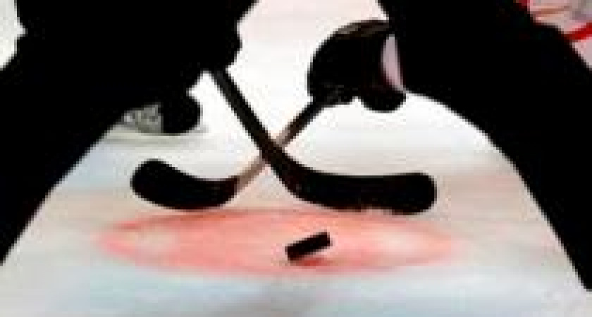 Празднуем Всероссийский день хоккея!