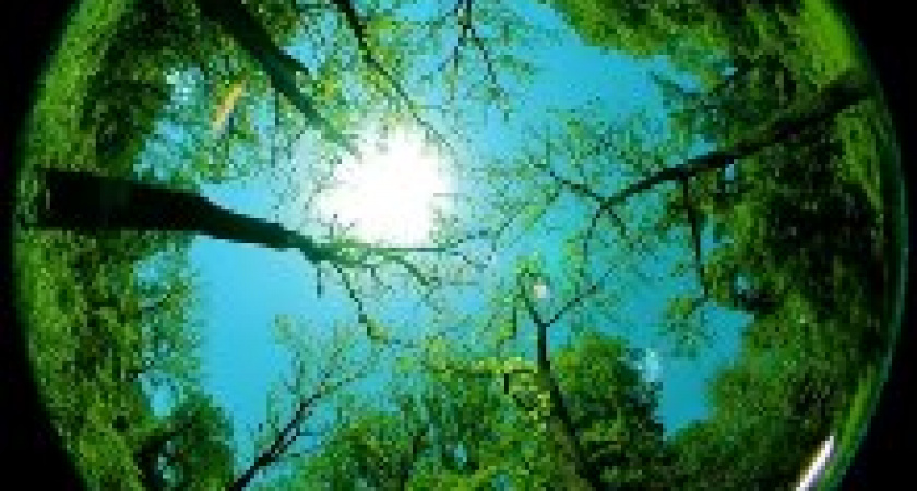 В Волгограде школьники собрали несколько тонн макулатуры