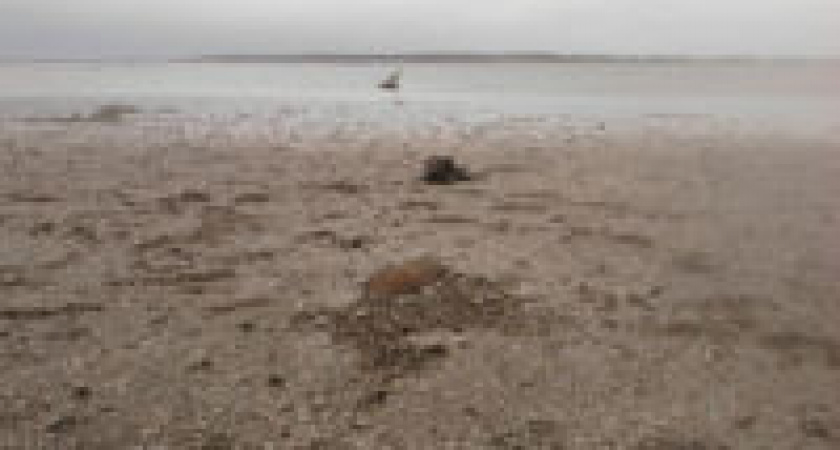 Под Волгоградом обезврежена авиабомба времен Великой Отечественной войны