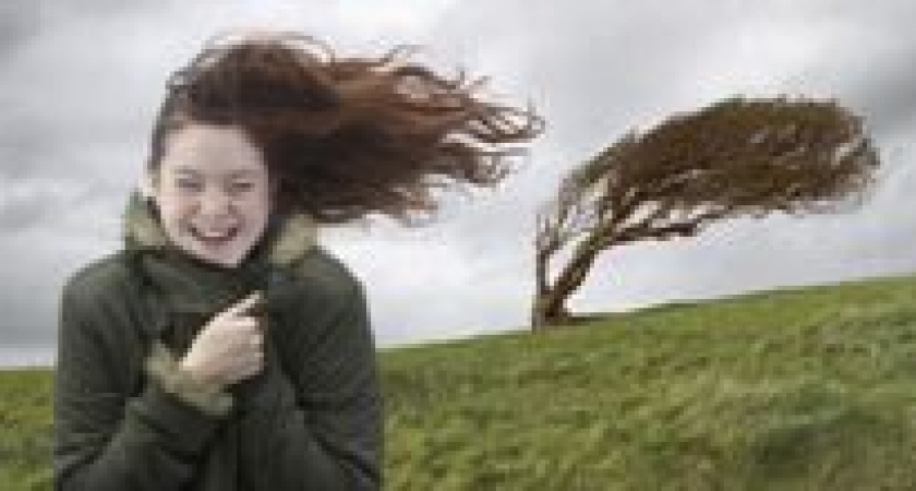 В Волгограде ожидается сильный ветер