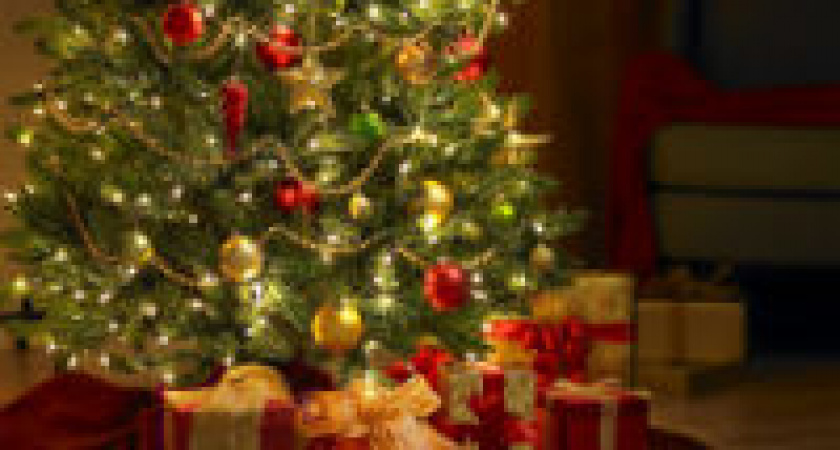 В Волгограде заработали елочные базары