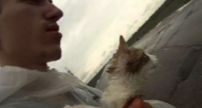 Волгоградцы пешком прошли 200 км