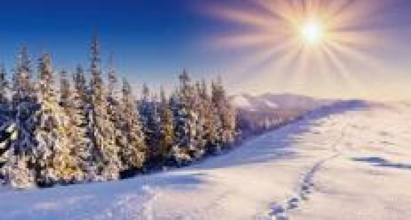 В Волгоград идет метель