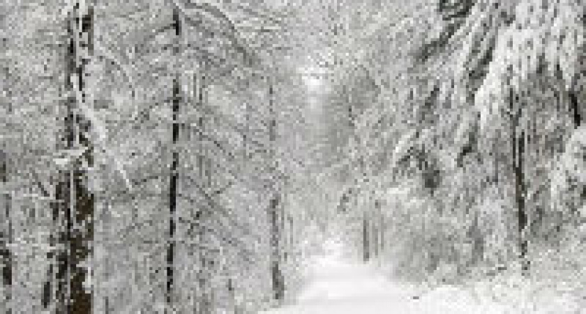 Иван Молчальник