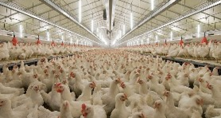 Под Волгоградом работникам не платили зарплату