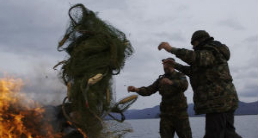 Под Волгоградом сжигают рыболовные сети