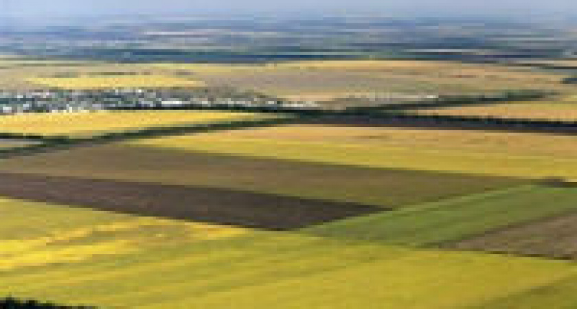 Под Волгоградом глава сельского поселения присвоил 15 миллионов рублей