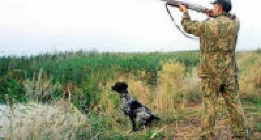 Под Волгоградом охотник убил фазана 