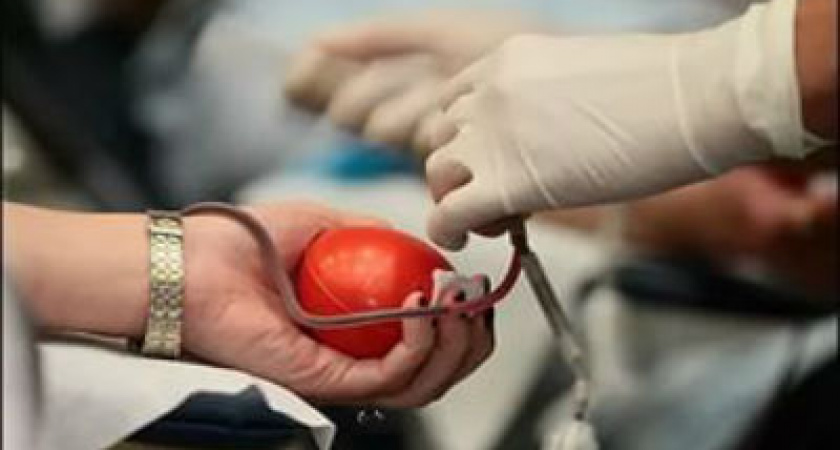 В Волгоградской области растет число молодых доноров