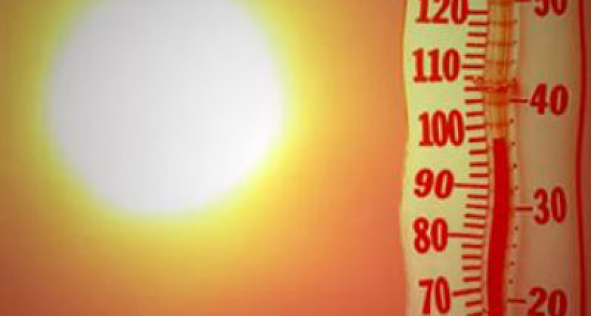 В Волгоградской области 2015 год оказался самым теплым